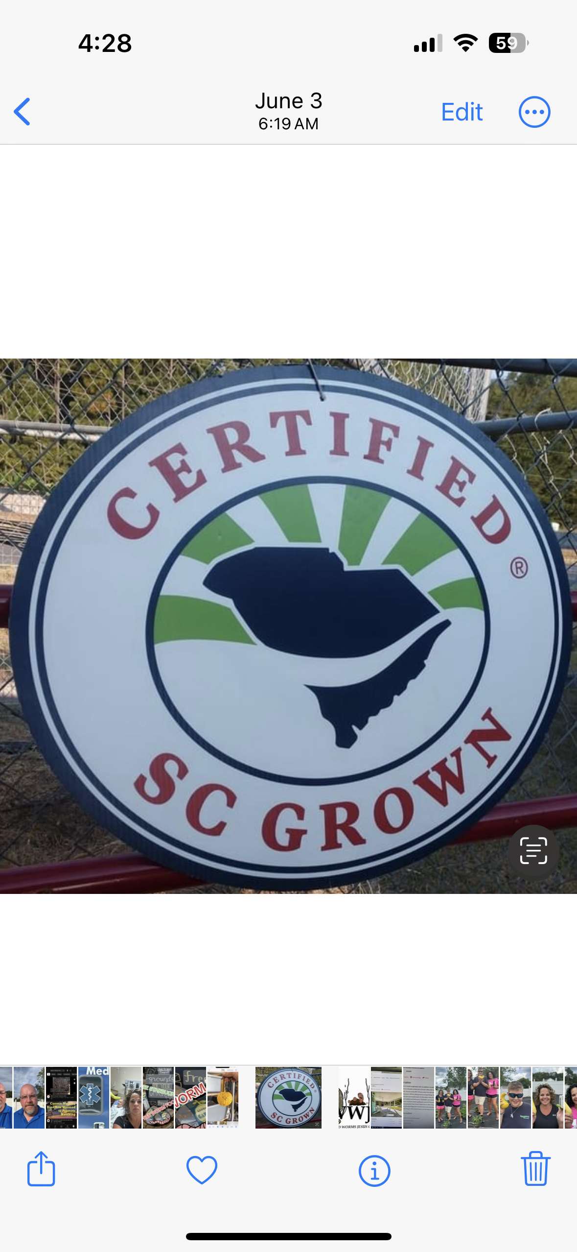 Red Wiggler Worms 1/4 lb